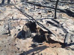 incendios en chubut: ya son mas de 13 mil hectareas alcanzadas por el fuego incendios en chubut: ya son mas de 13 mil hectareas alcanzadas por el fuego