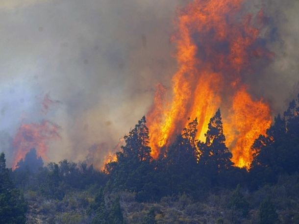 Escándalo en Cholila: denuncian que falsos voluntarios vendían las donaciones para los incendios