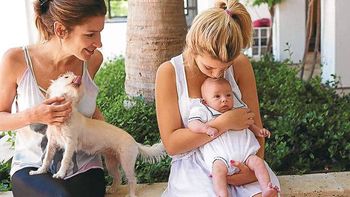 los simpson se agrandan con un integrante argentino los simpson se agrandan con un integrante argentino