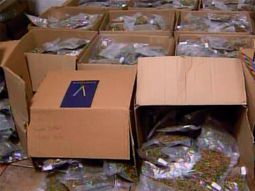 operativo mansion verde: se nego a declarar el matrimonio acusado operativo mansion verde: se nego a declarar el matrimonio acusado