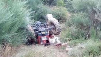 Gentileza Nuevo Diario. Gentileza Nuevo Diario.