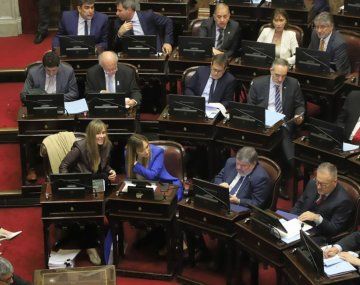 Sesión por la Ley Bases en el Senado