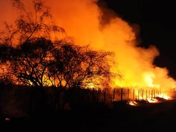 Pehuajó: imágenes de un impresionante incendio