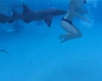 El marido de Illig grabó todo el episodio