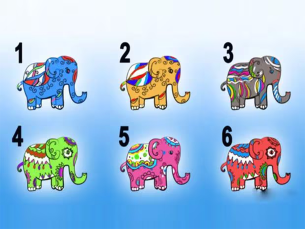 Test viral: elegir un elefante de la imagen puede revelarte como sos realmente