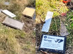 un informe de la tv chilena revelo actos de vandalismo en el cementerio de darwin un informe de la tv chilena revelo actos de vandalismo en el cementerio de darwin