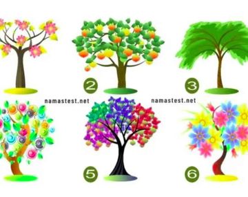 Test viral: el árbol que elijas de la imagen revelará un dato importante de tu vida