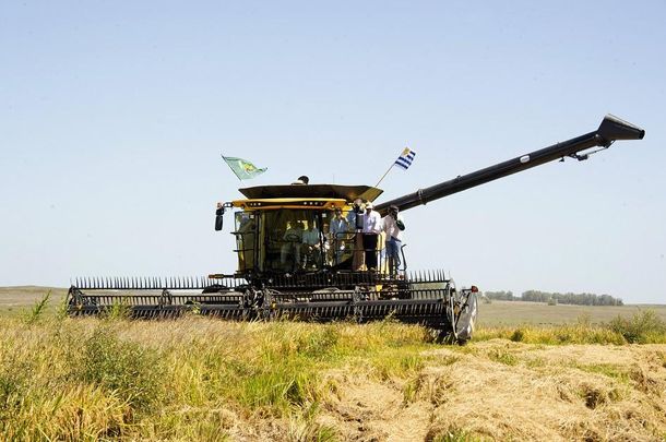 La intención de siembra de arroz es superior a la cantidad de agua disponible