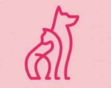 Qué ves: el test viral que revela si sos una persona responsable