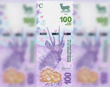 Más animales en la billetera: entra en circulación el billete de $100 con la taruca