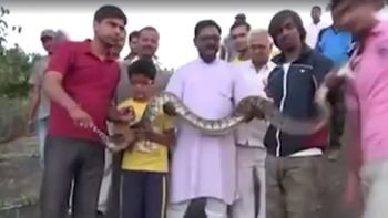 video: conoce a la serpiente que no queria salir en la foto video: conoce a la serpiente que no queria salir en la foto