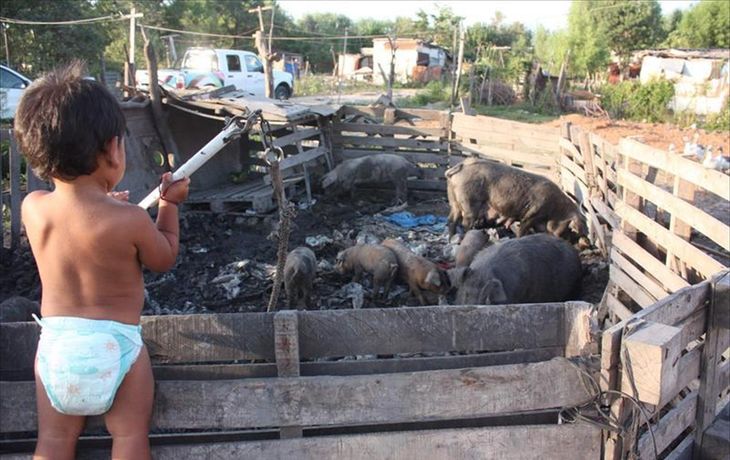 Más de 1,5 millones de chicos pasan hambre en Argentina