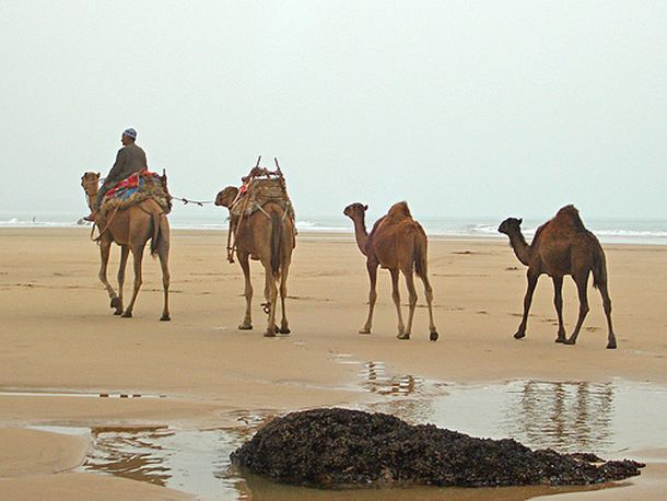 Marruecos