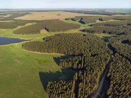 En diciembre de 2022 se registraron los primeros envíos de madera a la Zona Franca Durazno, donde opera UPM 2. En diciembre de 2022 se registraron los primeros envíos de madera a la Zona Franca Durazno, donde opera UPM 2.