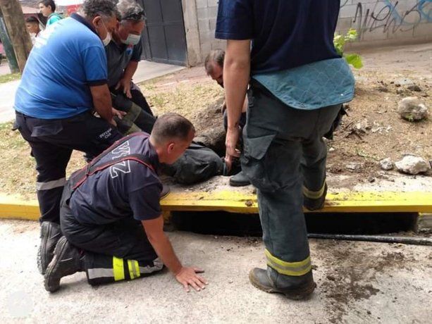 Banfield: tras 20 horas de trabajo, salvaron a un perrito que estaba  atrapado en una alcantarilla - Lafinur FM Radio