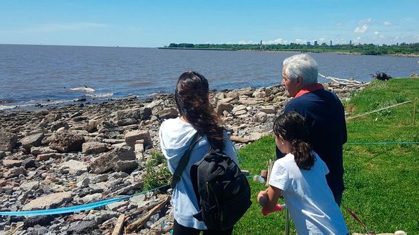 Apareció una ballena bebé muerta en Vicente López
