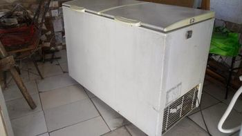 insolito: le vendio a su vecina un freezer con un cadaver adentro insolito: le vendio a su vecina un freezer con un cadaver adentro