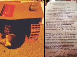 hizo una cucha para los perros y la municipalidad lo intimo para que la desarme hizo una cucha para los perros y la municipalidad lo intimo para que la desarme