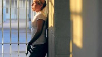 Diario Perfil Diario Perfil