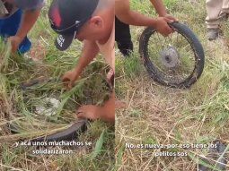 ¿Innovador? Rellenaron con pasto una cubierta pinchada y se volvieron viral