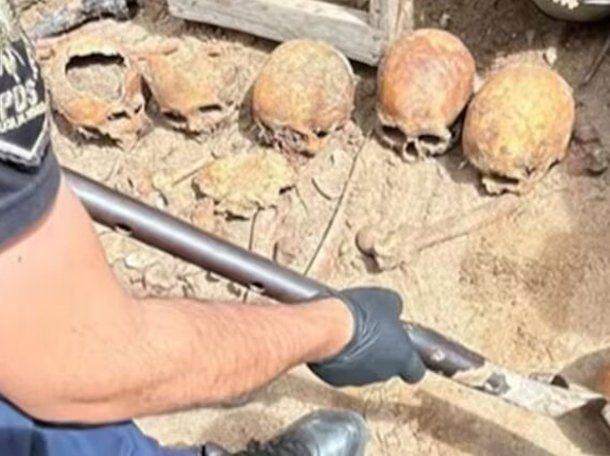 Pinamar: encontraron 12 cráneos en una casa y analizan una macabra hipótesis