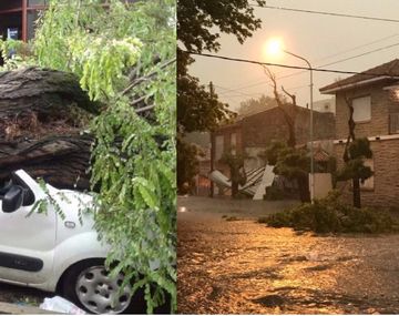 Temporal en Mar del Plata