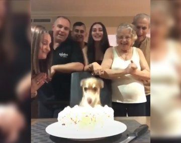 Video viral: una familia celebró el cumpleaños de su perro