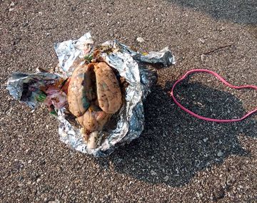 Macabro hallazgo: encontró un cerebro envuelto en papel aluminio en una playa