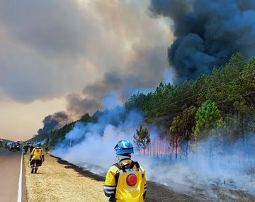 Corrientes registra 14 focos de incendios que afectan a parte de los esteros