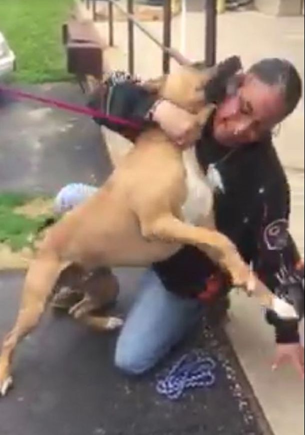 VIDEO: Un perro se reencontró con su dueño tras 2 años y explotó de alegría