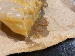 El marido de Pampita vende el ceviche con gusanos