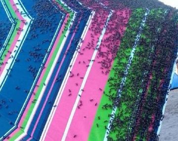 Las avispas invadieron las playas