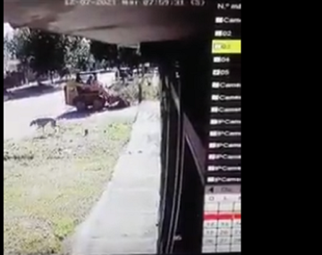 Un obrero de una contratista mató intencionalmente con su microcargadora a un perro