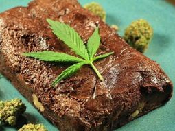 seis personas tuvieron que ser internadas tras comer una torta con marihuana seis personas tuvieron que ser internadas tras comer una torta con marihuana