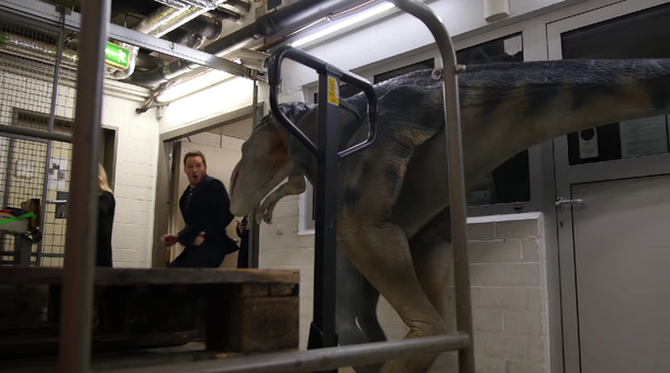 El protagonista de Jurassic World casi se infarta del susto de dos velociraptors