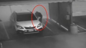 Se robó un auto mientras el dueño lo lavaba Se robó un auto mientras el dueño lo lavaba