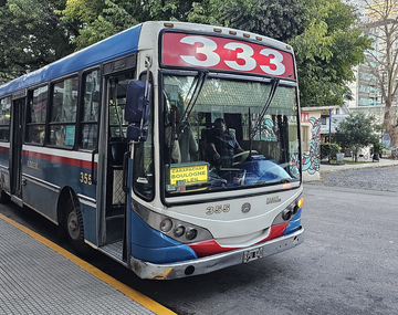Paro de colectivos en reclamo por salarios adeudados: a qué líneas afecta la medida