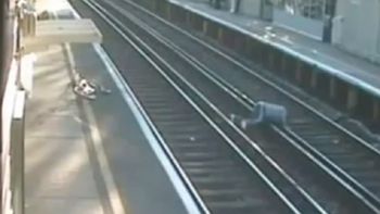 video: intento cruzar las vias pero se cayo justo antes de que pase el tren video: intento cruzar las vias pero se cayo justo antes de que pase el tren