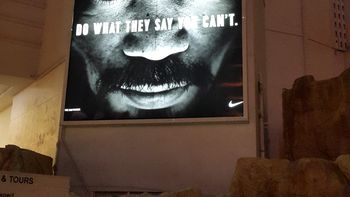 todo listo: las vegas ya vibra al ritmo de la pelea del siglo todo listo: las vegas ya vibra al ritmo de la pelea del siglo