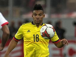 fabra se pierde el mundial por una lesion en una rodilla fabra se pierde el mundial por una lesion en una rodilla