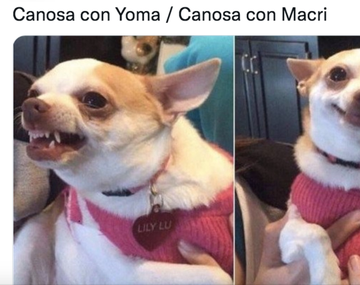 Los mejores memes de Viviana Canosa echando a Yoma