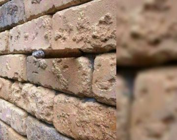 Foto defectuosa se hizo viral