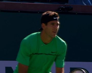 Del Potro trabajó, pero se impuso con autoridad