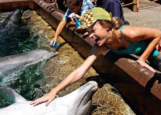 La foto de Brie Larson con un delfín que provocó indignación en Instagram