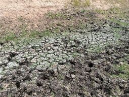 Por la sequia, la actividad económica retrocedió un 27,4% en el sector agropecuario. Por la sequia, la actividad económica retrocedió un 27,4% en el sector agropecuario.