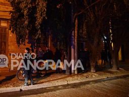 Macabro: hallan a docente devorada por sus gatos