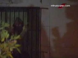 Fugas de chicos con violencia de grandes