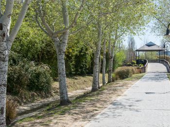 Un adolescente atropelló y mató a su abuela cuando le enseñaba a manejar