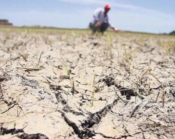 Preocupante: casi la mitad de las provincias del país en emergencia y desastre agropecuario