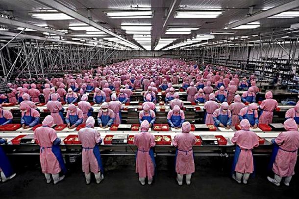 Conocé las despreciables condiciones de trabajo en una planta de iPhone en China